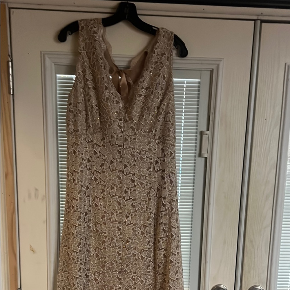 Elegant Lace Sleeveless Dress - Cream